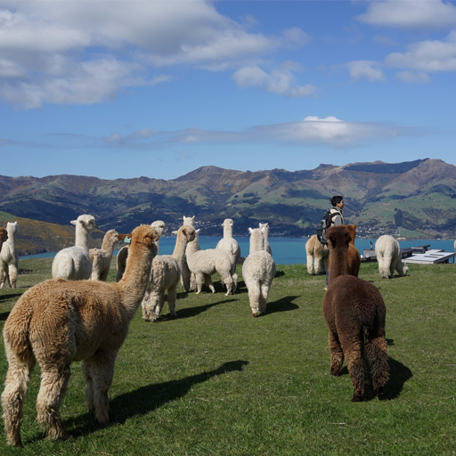 小程序,企業(yè)移動(dòng)辦公,OA,網(wǎng)站建設(shè),連云港網(wǎng)站,連云港網(wǎng)站開(kāi)發(fā)，系統(tǒng)開(kāi)發(fā)，微信開(kāi)發(fā)，微信公眾號(hào)，微信企業(yè)號(hào)，微信訂閱號(hào)，微信服務(wù)號(hào)開(kāi)發(fā),微教育